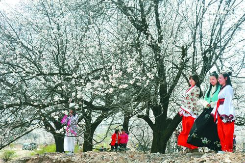 8455线路检测中心智能检测设备